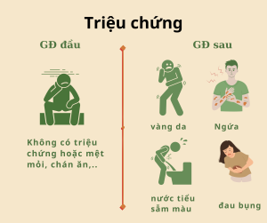 Triệu chứng và biểu hiện: