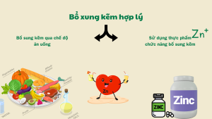 Bổ xung Kẽm hợp lý